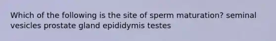 Which of the following is the site of sperm maturation? seminal vesicles prostate gland epididymis testes