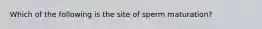 Which of the following is the site of sperm maturation?