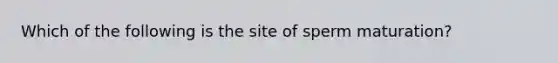 Which of the following is the site of sperm maturation?