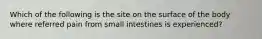 Which of the following is the site on the surface of the body where referred pain from small intestines is experienced?