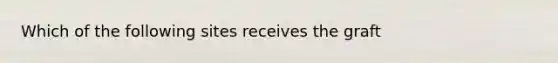 Which of the following sites receives the graft