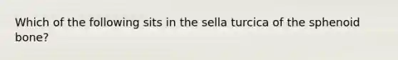 Which of the following sits in the sella turcica of the sphenoid bone?