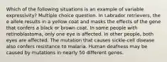 Which of the following situations is an example of variable expressivity? Multiple choice question. In Labrador retrievers, the e allele results in a yellow coat and masks the effects of the gene that confers a black or brown coat. In some people with retinoblastoma, only one eye is affected. In other people, both eyes are affected. The mutation that causes sickle-cell disease also confers resistance to malaria. Human deafness may be caused by mutations in nearly 50 different genes.