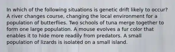 In which of the following situations is genetic drift likely to occur? A river changes course, changing the local environment for a population of butterflies. Two schools of tuna merge together to form one large population. A mouse evolves a fur color that enables it to hide more readily from predators. A small population of lizards is isolated on a small island.