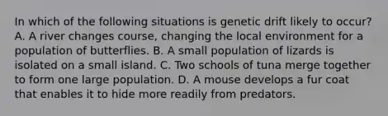 In which of the following situations is genetic drift likely to occur? A. A river changes course, changing the local environment for a population of butterflies. B. A small population of lizards is isolated on a small island. C. Two schools of tuna merge together to form one large population. D. A mouse develops a fur coat that enables it to hide more readily from predators.