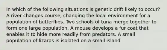 In which of the following situations is genetic drift likely to occur? A river changes course, changing the local environment for a population of butterflies. Two schools of tuna merge together to form one large population. A mouse develops a fur coat that enables it to hide more readily from predators. A small population of lizards is isolated on a small island.