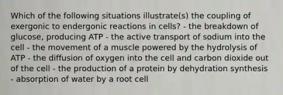 Which of the following situations illustrate(s) the coupling of exergonic to endergonic reactions in cells? - the breakdown of glucose, producing ATP - the active transport of sodium into the cell - the movement of a muscle powered by the hydrolysis of ATP - the diffusion of oxygen into the cell and carbon dioxide out of the cell - the production of a protein by dehydration synthesis - absorption of water by a root cell