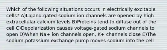 Which of the following situations occurs in electrically excitable cells? A)Ligand-gated sodium ion channels are opened by high extracellular calcium levels B)Proteins tend to diffuse out of the cell C)Depolarization causes voltage-gated sodium channels to open D)When Na+ ion channels open, K+ channels close E)The sodium-potassium exchange pump moves sodium into the cell