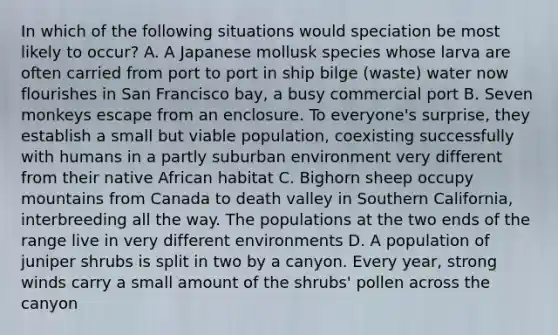 In which of the following situations would speciation be most likely to occur? A. A Japanese mollusk species whose larva are often carried from port to port in ship bilge (waste) water now flourishes in San Francisco bay, a busy commercial port B. Seven monkeys escape from an enclosure. To everyone's surprise, they establish a small but viable population, coexisting successfully with humans in a partly suburban environment very different from their native African habitat C. Bighorn sheep occupy mountains from Canada to death valley in Southern California, interbreeding all the way. The populations at the two ends of the range live in very different environments D. A population of juniper shrubs is split in two by a canyon. Every year, strong winds carry a small amount of the shrubs' pollen across the canyon