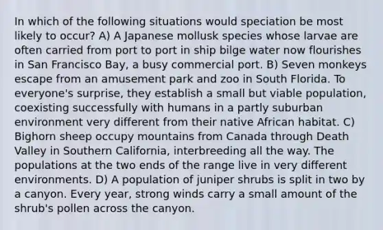 In which of the following situations would speciation be most likely to occur? A) A Japanese mollusk species whose larvae are often carried from port to port in ship bilge water now flourishes in San Francisco Bay, a busy commercial port. B) Seven monkeys escape from an amusement park and zoo in South Florida. To everyone's surprise, they establish a small but viable population, coexisting successfully with humans in a partly suburban environment very different from their native African habitat. C) Bighorn sheep occupy mountains from Canada through Death Valley in Southern California, interbreeding all the way. The populations at the two ends of the range live in very different environments. D) A population of juniper shrubs is split in two by a canyon. Every year, strong winds carry a small amount of the shrub's pollen across the canyon.