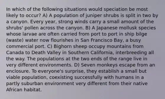 In which of the following situations would speciation be most likely to occur? A) A population of juniper shrubs is split in two by a canyon. Every year, strong winds carry a small amount of the shrubs' pollen across the canyon. B) A Japanese mollusk species whose larvae are often carried from port to port in ship bilge (waste) water now flourishes in San Francisco Bay, a busy commercial port. C) Bighorn sheep occupy mountains from Canada to Death Valley in Southern California, interbreeding all the way. The populations at the two ends of the range live in very different environments. D) Seven monkeys escape from an enclosure. To everyone's surprise, they establish a small but viable population, coexisting successfully with humans in a partly suburban environment very different from their native African habitat.