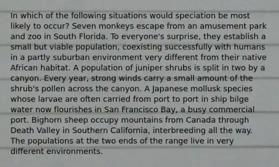 In which of the following situations would speciation be most likely to occur? Seven monkeys escape from an amusement park and zoo in South Florida. To everyone's surprise, they establish a small but viable population, coexisting successfully with humans in a partly suburban environment very different from their native African habitat. A population of juniper shrubs is split in two by a canyon. Every year, strong winds carry a small amount of the shrub's pollen across the canyon. A Japanese mollusk species whose larvae are often carried from port to port in ship bilge water now flourishes in San Francisco Bay, a busy commercial port. Bighorn sheep occupy mountains from Canada through Death Valley in Southern California, interbreeding all the way. The populations at the two ends of the range live in very different environments.