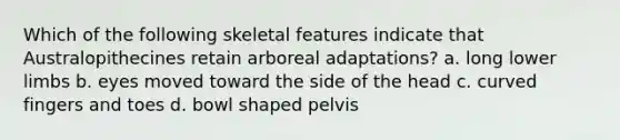 Which of the following skeletal features indicate that Australopithecines retain arboreal adaptations? a. long lower limbs b. eyes moved toward the side of the head c. curved fingers and toes d. bowl shaped pelvis