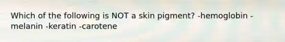 Which of the following is NOT a skin pigment? -hemoglobin -melanin -keratin -carotene