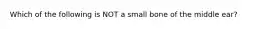 Which of the following is NOT a small bone of the middle ear?