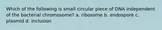 Which of the following is small circular piece of DNA independent of the bacterial chromosome? a. ribosome b. endospore c. plasmid d. inclusion