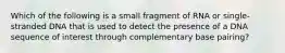 Which of the following is a small fragment of RNA or single-stranded DNA that is used to detect the presence of a DNA sequence of interest through complementary base pairing?