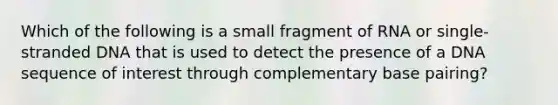 Which of the following is a small fragment of RNA or single-stranded DNA that is used to detect the presence of a DNA sequence of interest through complementary base pairing?