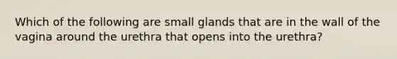 Which of the following are small glands that are in the wall of the vagina around the urethra that opens into the urethra?