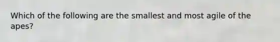 Which of the following are the smallest and most agile of the apes?