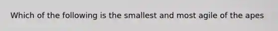 Which of the following is the smallest and most agile of the apes