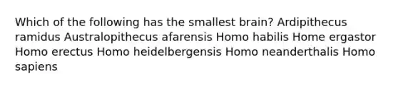 Which of the following has the smallest brain? Ardipithecus ramidus Australopithecus afarensis Homo habilis Home ergastor Homo erectus Homo heidelbergensis Homo neanderthalis Homo sapiens