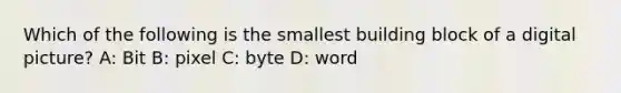 Which of the following is the smallest building block of a digital picture? A: Bit B: pixel C: byte D: word