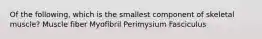 Of the following, which is the smallest component of skeletal muscle? Muscle fiber Myofibril Perimysium Fasciculus