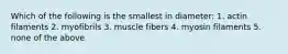 Which of the following is the smallest in diameter: 1. actin filaments 2. myofibrils 3. muscle fibers 4. myosin filaments 5. none of the above