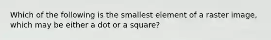 Which of the following is the smallest element of a raster image, which may be either a dot or a square?