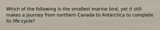 Which of the following is the smallest marine bird, yet it still makes a journey from northern Canada to Antarctica to complete its life cycle?