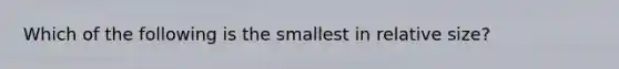 Which of the following is the smallest in relative size?