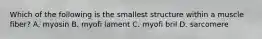 Which of the following is the smallest structure within a muscle fiber? A. myosin B. myofi lament C. myofi bril D. sarcomere