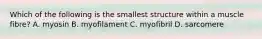 Which of the following is the smallest structure within a muscle fibre? A. myosin B. myofilament C. myofibril D. sarcomere