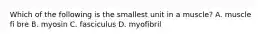 Which of the following is the smallest unit in a muscle? A. muscle fi bre B. myosin C. fasciculus D. myofibril