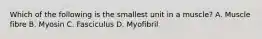 Which of the following is the smallest unit in a muscle? A. Muscle fibre B. Myosin C. Fasciculus D. Myofibril