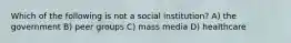 Which of the following is not a social institution? A) the government B) peer groups C) mass media D) healthcare