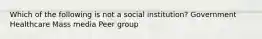 Which of the following is not a social institution? Government Healthcare Mass media Peer group