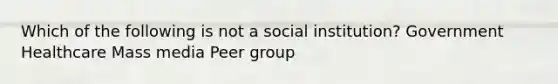 Which of the following is not a social institution? Government Healthcare Mass media Peer group