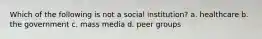 Which of the following is not a social institution? a. healthcare b. the government c. mass media d. peer groups