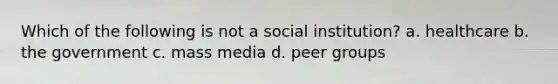 Which of the following is not a social institution? a. healthcare b. the government c. mass media d. peer groups