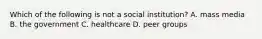 Which of the following is not a social institution? A. mass media B. the government C. healthcare D. peer groups