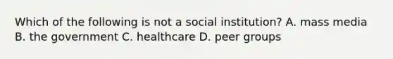 Which of the following is not a social institution? A. mass media B. the government C. healthcare D. peer groups