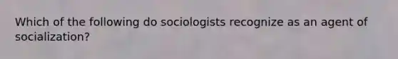 Which of the following do sociologists recognize as an agent of socialization?