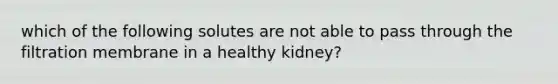 which of the following solutes are not able to pass through the filtration membrane in a healthy kidney?