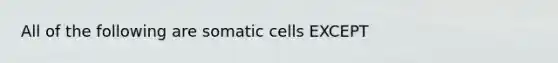 All of the following are somatic cells EXCEPT