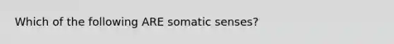 Which of the following ARE somatic senses?