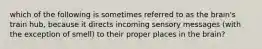 which of the following is sometimes referred to as the brain's train hub, because it directs incoming sensory messages (with the exception of smell) to their proper places in the brain?