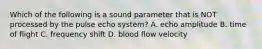 Which of the following is a sound parameter that is NOT processed by the pulse echo system? A. echo amplitude B. time of flight C. frequency shift D. blood flow velocity