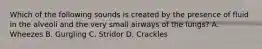 Which of the following sounds is created by the presence of fluid in the alveoli and the very small airways of the​ lungs? A. Wheezes B. Gurgling C. Stridor D. Crackles